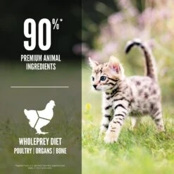 Orijen Whole Prey Chicken, Turkey, Salmon & Herring Kitten Food -Pet Sales Store OrijenKitten90