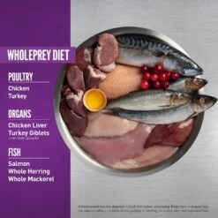 Orijen Whole Prey Chicken, Turkey, Salmon & Herring Kitten Food -Pet Sales Store OrijenKittenRealIngredients