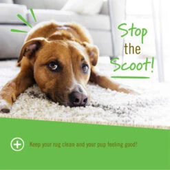 Pet Naturals Scoot Bars Anal Gland Support For Dogs -Pet Sales Store PetNaturalsofVermontScootBars30PackDogChewsInfographic3