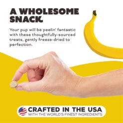 Primal Pet Foods Freeze-Dried Dog Treats -Pet Sales Store PrimalPetFoodsFreeze DriedDogTreatsPeelin FantasticNewLifestyle