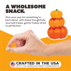 Primal Pet Foods Freeze-Dried Dog Treats -Pet Sales Store PrimalPetFoodsFreeze DriedDogTreatsPumpkinformyPumpkinNewLifestyle