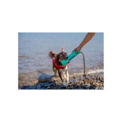 Ruffwear Lunker Water Toy For Dogs -Pet Sales Store RW Lunker Aurora Teal Lifestyle