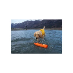 Ruffwear Lunker Water Toy For Dogs -Pet Sales Store RW LunkerOrange Lifestyle