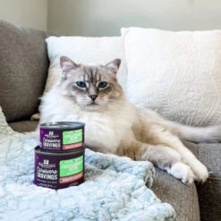Stella & Chewy's Carnivore Cravings Minced Morsels Chicken & Duck Wet Cat Food -Pet Sales Store Stella Chewy sCarnCravMincMorsChicken DuckLifestyle