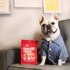 Stella & Chewy's Carnivore Crunch Training Treats -Pet Sales Store Stella Chewy sCarnivoreCrunchTrainingTreatsBeefLifestyleImage 1