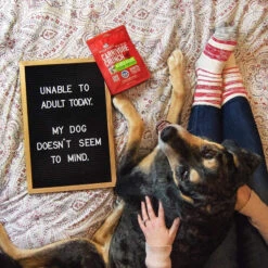 Stella & Chewy's Carnivore Crunch Training Treats -Pet Sales Store Stella Chewy sCarnivoreCrunchTrainingTreatsDuckLifestyleImage 1