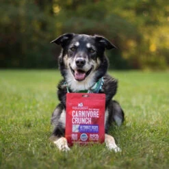 Stella & Chewy's Carnivore Crunch Training Treats -Pet Sales Store Stella Chewy sCarnivoreCrunchTrainingTreatsTurkeyLifestyleImage 1
