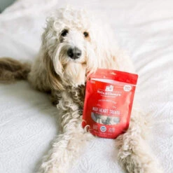 Stella & Chewy's Freeze-Dried Raw Single Ingredient Treats -Pet Sales Store Stella Chewy sFreeze DriedRawSingleIngredientTreatsBeefHeartLifestyleImage