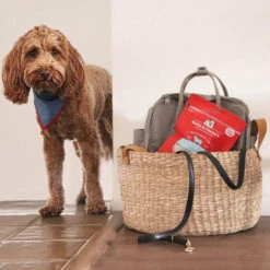 Stella & Chewy's Freeze-Dried Raw Single Ingredient Treats -Pet Sales Store Stella Chewy sFreeze DriedRawSingleIngredientTreatsLambLiverLifestyleImage