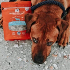 Stella & Chewy's Freeze-Dried Raw Single Ingredient Treats -Pet Sales Store Stella Chewy sFreeze DriedRawSingleIngredientTreatsLambLiverLifestyleImage2