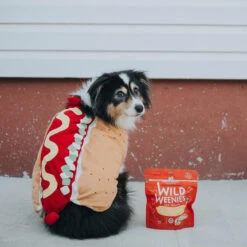 Stella & Chewy's Wild Weenies Raw Freeze-Dried Dog Treats 30 Stella & Chewy's Wild Weenies Raw Freeze-Dried Dog Treats -Pet Sales Store Stella Chewy sWildWeeniesRawFreeze DriedDogTreatsChickenRecipeLifestyleImage b038eba9 252c 42c2 b8c4 d3b444f56465
