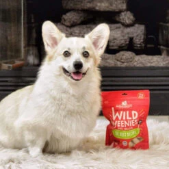 Stella & Chewy's Wild Weenies Raw Freeze-Dried Dog Treats 35 Stella & Chewy's Wild Weenies Raw Freeze-Dried Dog Treats -Pet Sales Store Stella Chewy sWildWeeniesRawFreeze DriedDogTreatsDuckRecipeLifestyleImage2 df7a4ffd bce4 4849 9de5 faa46093e560