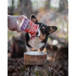 Stella & Chewy's Stew Wet Food For Dogs Case Of 12 -Pet Sales Store Stellas Stew turkey