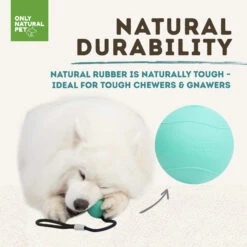 Only Natural Pet Natural Rubber Bond Building Fetch And Tug Dog Toys -Pet Sales Store TealBallandRopeDurabilityInfographic