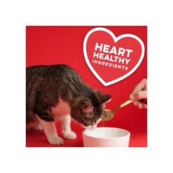 The Missing Link Pet Kelp Formula Feline Well-Being Cat Supplement 8 The Missing Link Pet Kelp Formula Feline Well-Being Cat Supplement -Pet Sales Store TheMissingLinkPetKelpFormulaFelineWell BeingCatSupplementHeartHealthyInfographic