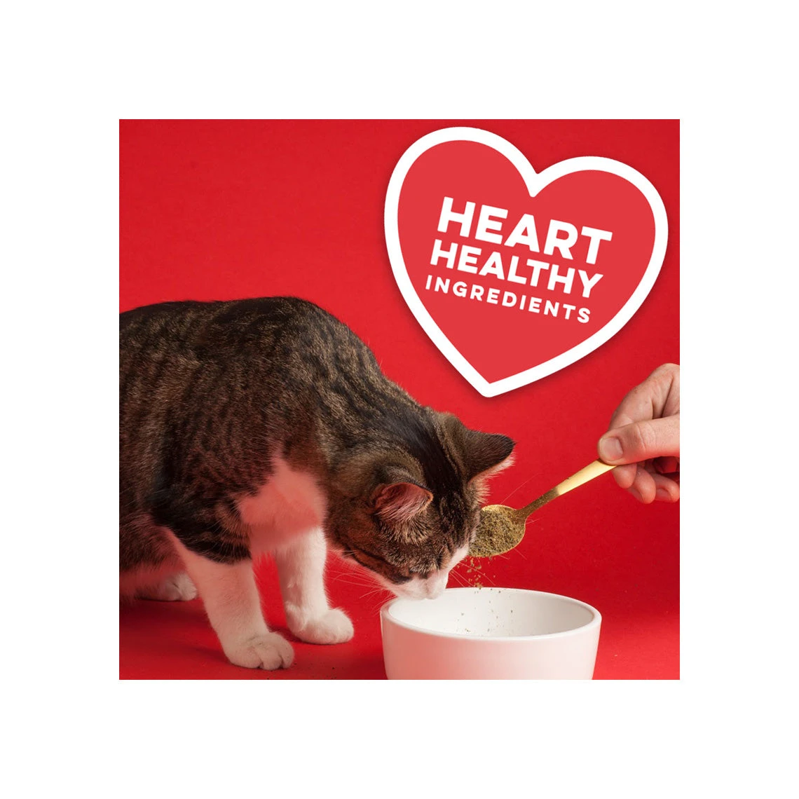 The Missing Link Pet Kelp Formula Feline Well-Being Cat Supplement 4 The Missing Link Pet Kelp Formula Feline Well-Being Cat Supplement - Image 4