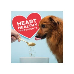 The Missing Link Pet Kelp Formula Joint & Bone Dog Supplement 9 The Missing Link Pet Kelp Formula Joint & Bone Dog Supplement -Pet Sales Store TheMissingLinkPetKelpFormulaJoint BoneDogSupplementHeartHealthInfographic