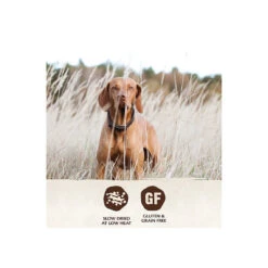 Wellness Core Grain Free Air-Dried Dog Food -Pet Sales Store Wellness TenderBites ChickTurkey Infographic2
