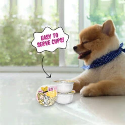 Weruva BFF Best Fido Friend Wet Dog Food -Pet Sales Store WeruvaBFFBestFidoFriendWetDogFoodRolltheDicewithChickenBreast RiceLifestyle