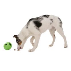 West Paw Rumbl Dog Puzzle Toy -Pet Sales Store WestPawRumblJungleGreenInfographic