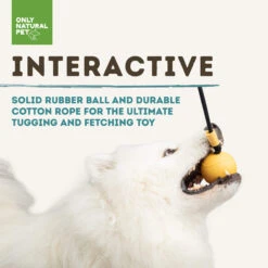Only Natural Pet Natural Rubber Bond Building Fetch And Tug Dog Toys -Pet Sales Store YellowBallandRopeInteractiveInfographic