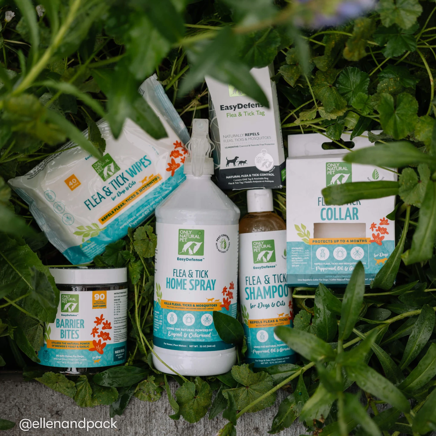 Only Natural Pet Flea & Tick Complete Protection Kit For Dogs 18 Only Natural Pet Flea & Tick Complete Protection Kit For Dogs - Image 18