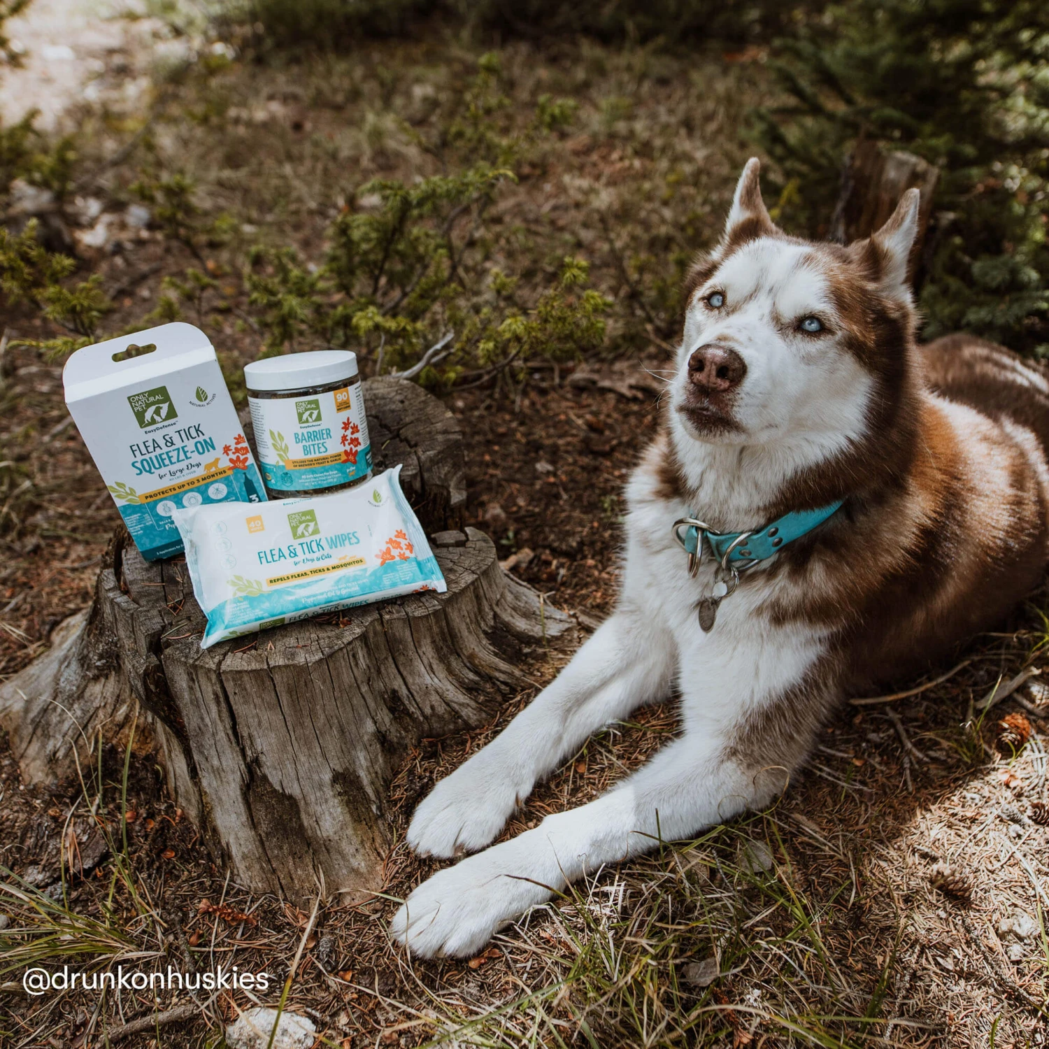 Only Natural Pet Flea & Tick Starter Kit For Dogs 7 Only Natural Pet Flea & Tick Starter Kit For Dogs - Image 7