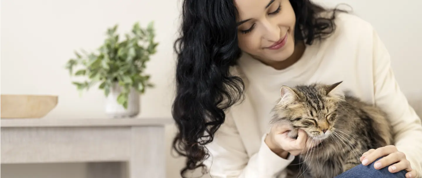 Pet Sales Store -Pet Sales Store f537d76ff00922dc1847fba80106b6d4889c344e 1440x610 1