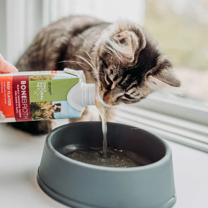 Pet Sales Store -Pet Sales Store shop