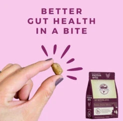 Steve's Real Food Probiotic Protein Bites -Pet Sales Store steves real food steves real food probiotic dog ca 800x 8e5062c9 be9a 4f09 adcd afcc4fd5ff37