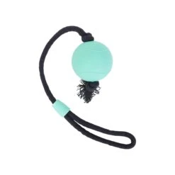 Only Natural Pet Natural Rubber Bond Building Fetch And Tug Dog Toys -Pet Sales Store web AndyDowns r1 01B 3110 1