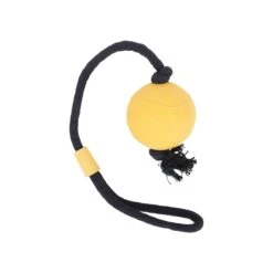 Only Natural Pet Natural Rubber Bond Building Fetch And Tug Dog Toys -Pet Sales Store web AndyDowns r1 01B 3125 1